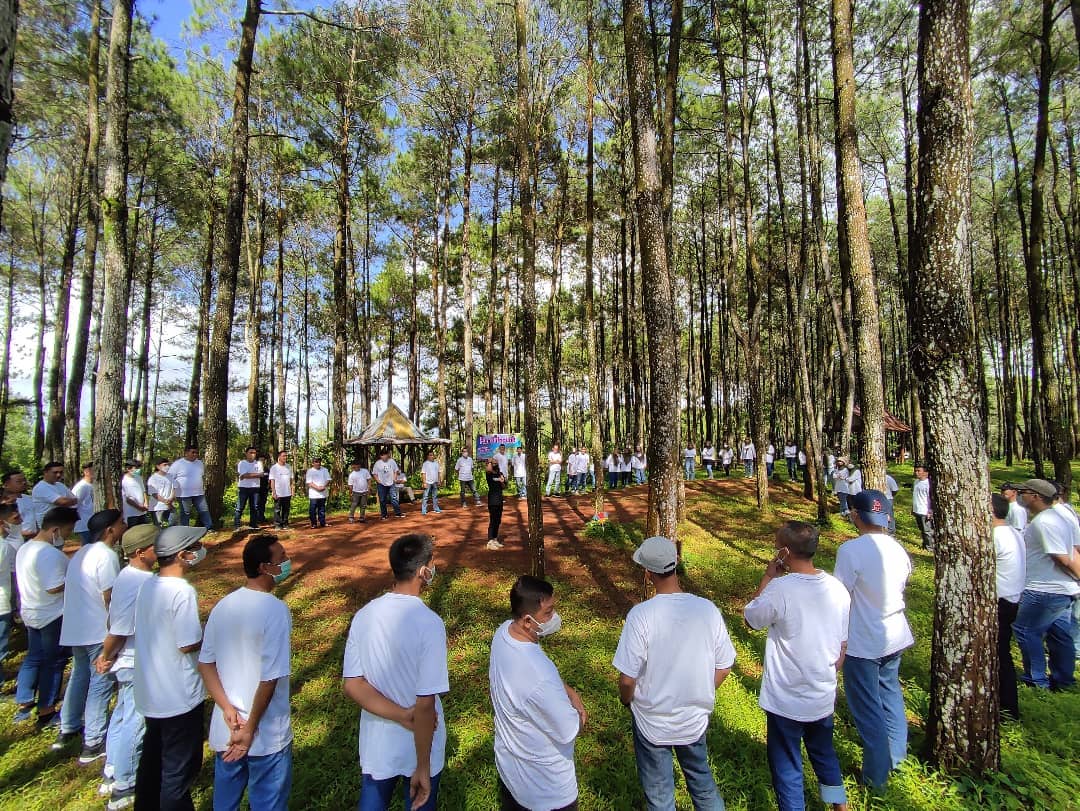 outbound di hutan pinus mangunan